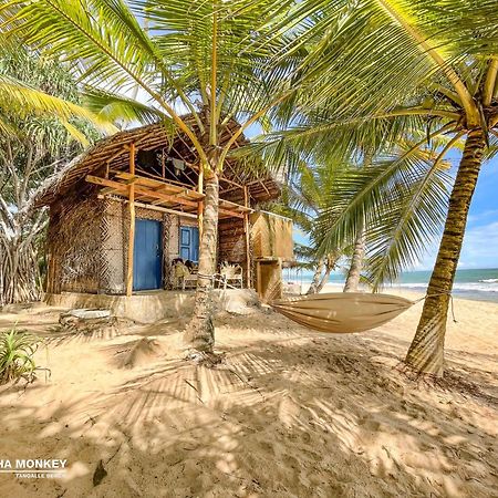 The Alpha Monkey Hotel & Tree House Tangalle Εξωτερικό φωτογραφία