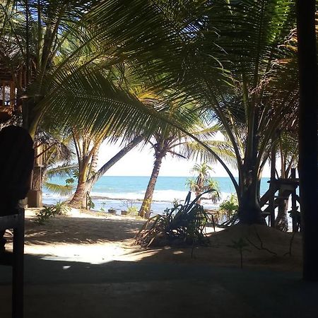 The Alpha Monkey Hotel & Tree House Tangalle Εξωτερικό φωτογραφία