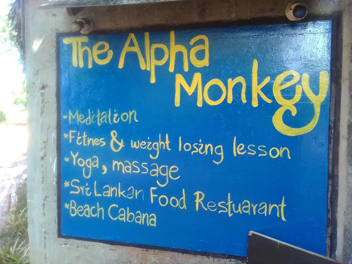 The Alpha Monkey Hotel & Tree House Tangalle Εξωτερικό φωτογραφία