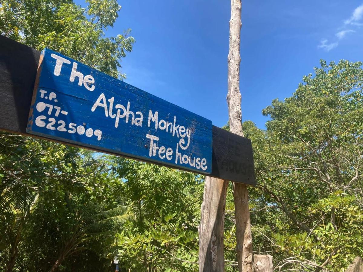 The Alpha Monkey Hotel & Tree House Tangalle Εξωτερικό φωτογραφία