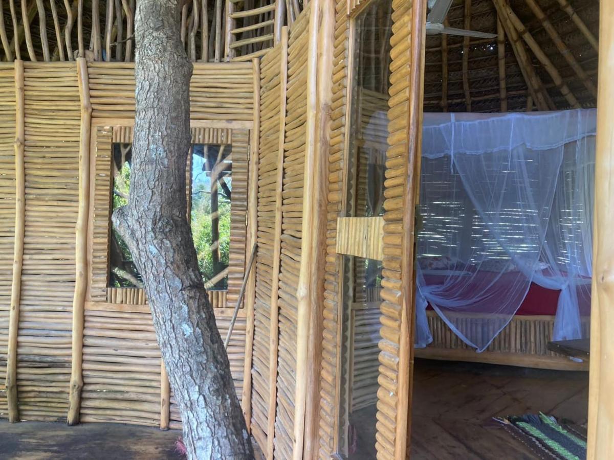 The Alpha Monkey Hotel & Tree House Tangalle Εξωτερικό φωτογραφία