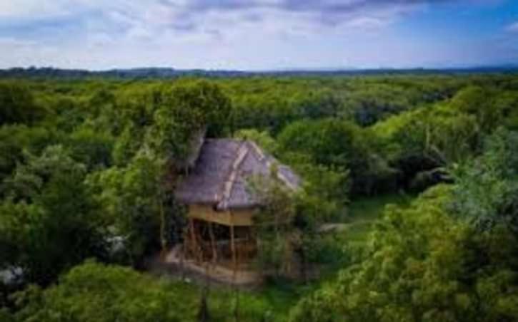 The Alpha Monkey Hotel & Tree House Tangalle Εξωτερικό φωτογραφία