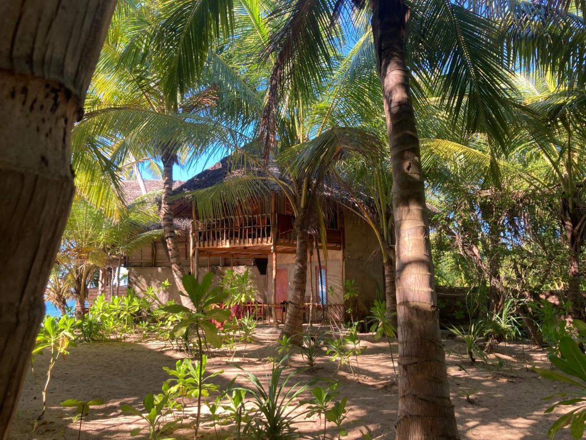 The Alpha Monkey Hotel & Tree House Tangalle Εξωτερικό φωτογραφία