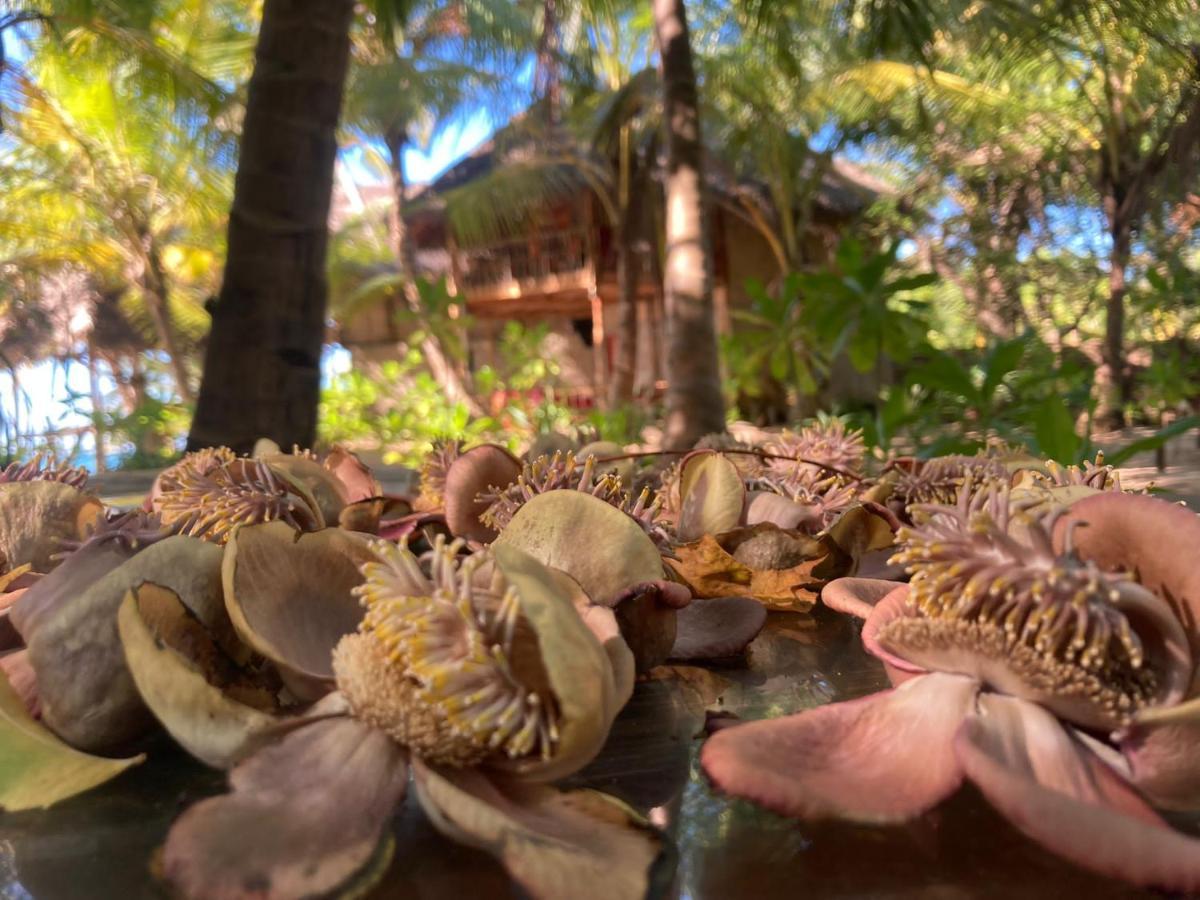 The Alpha Monkey Hotel & Tree House Tangalle Εξωτερικό φωτογραφία