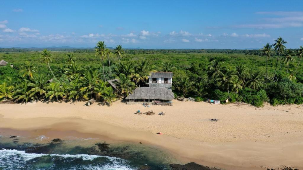 The Alpha Monkey Hotel & Tree House Tangalle Εξωτερικό φωτογραφία