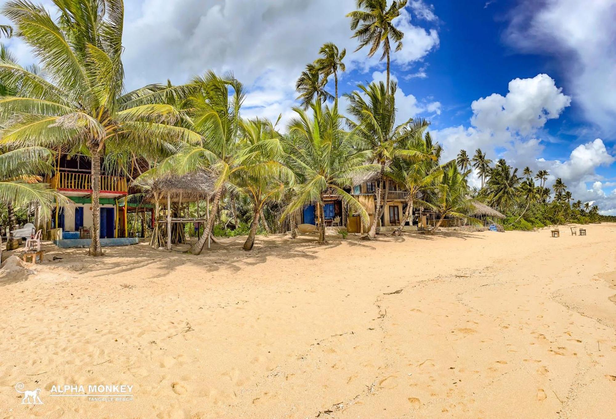 The Alpha Monkey Hotel & Tree House Tangalle Εξωτερικό φωτογραφία