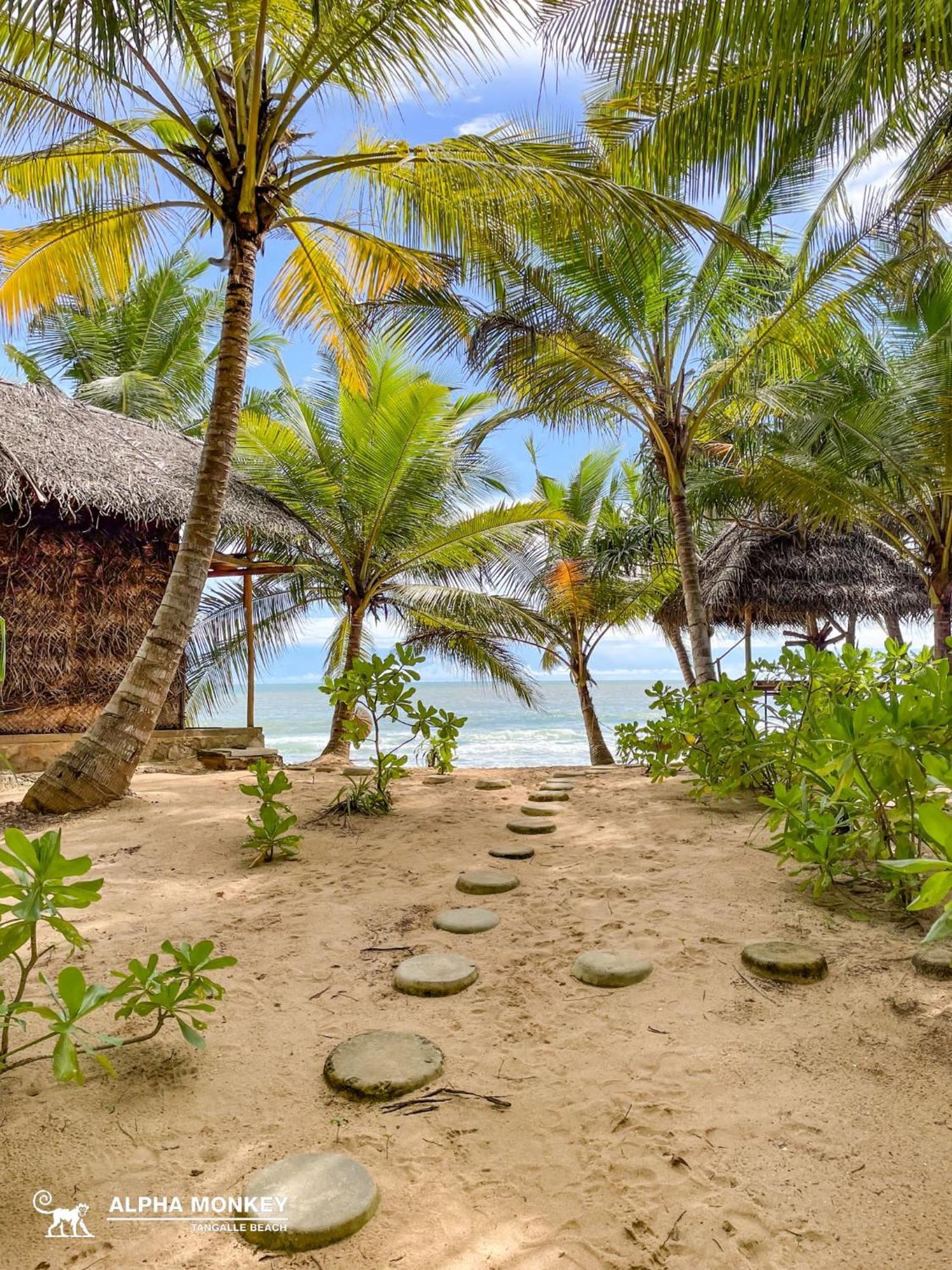 The Alpha Monkey Hotel & Tree House Tangalle Εξωτερικό φωτογραφία