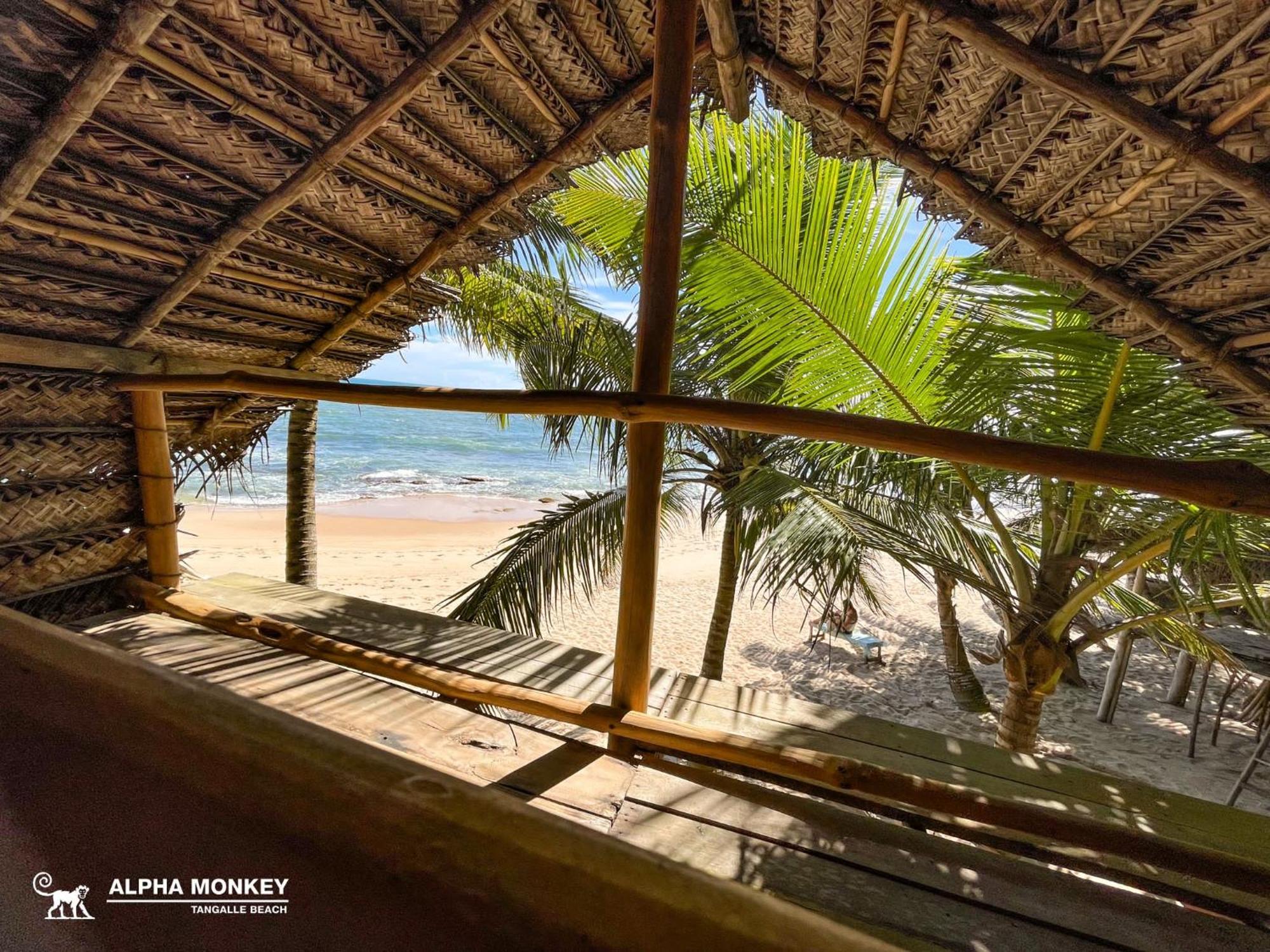 The Alpha Monkey Hotel & Tree House Tangalle Εξωτερικό φωτογραφία