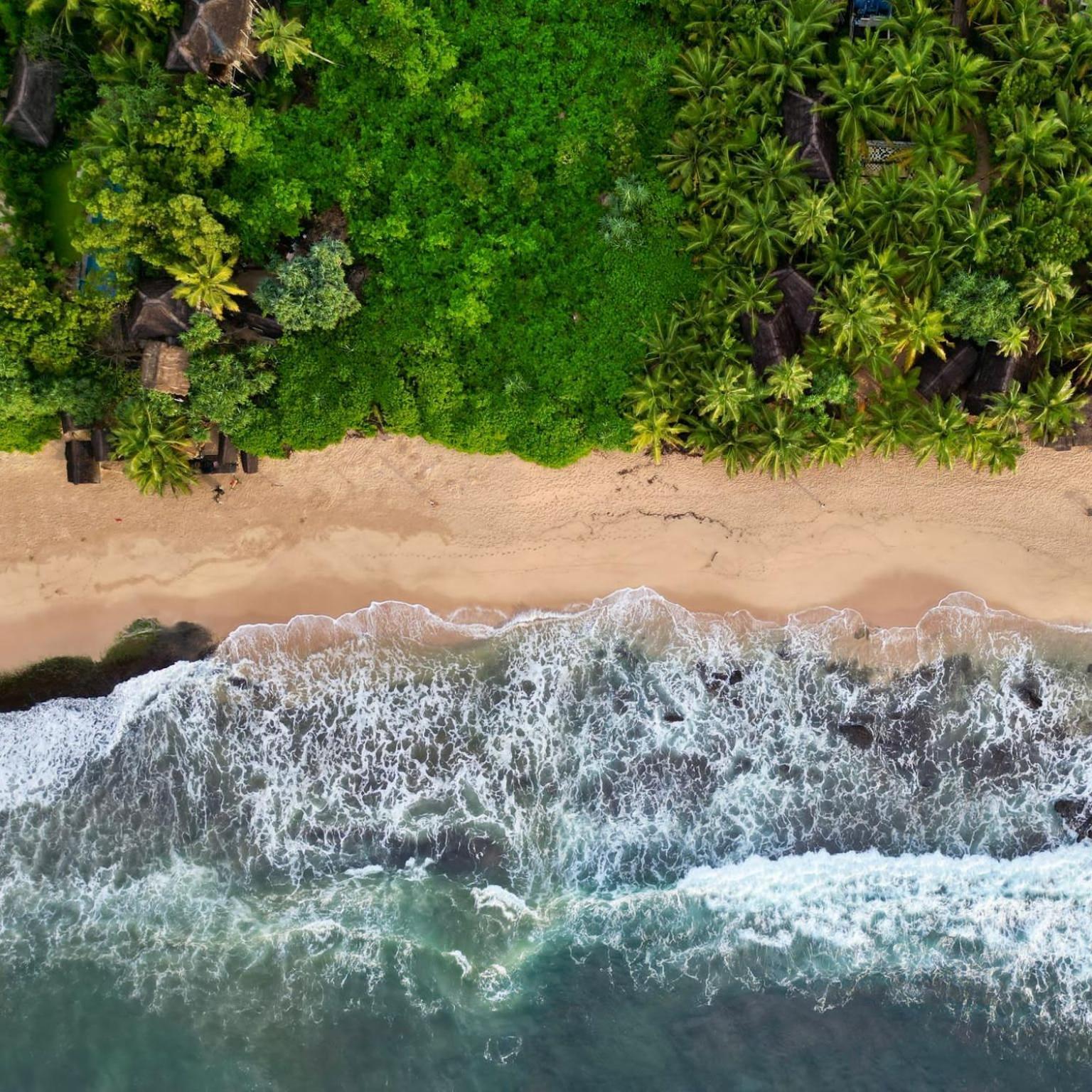 The Alpha Monkey Hotel & Tree House Tangalle Εξωτερικό φωτογραφία