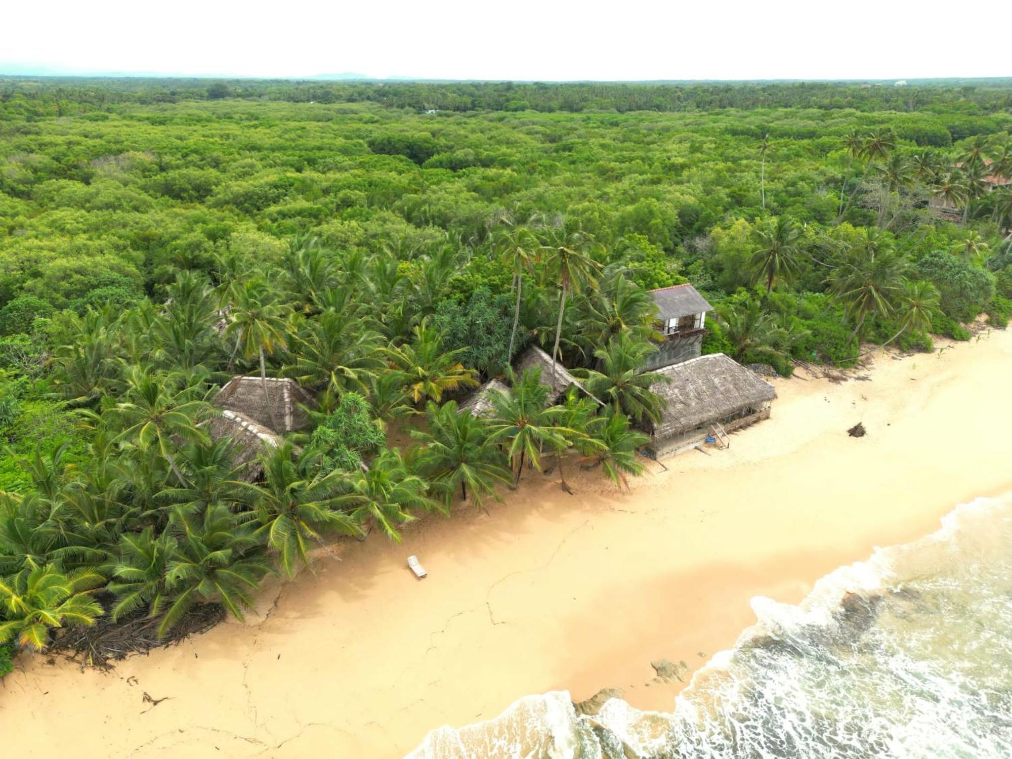 The Alpha Monkey Hotel & Tree House Tangalle Εξωτερικό φωτογραφία
