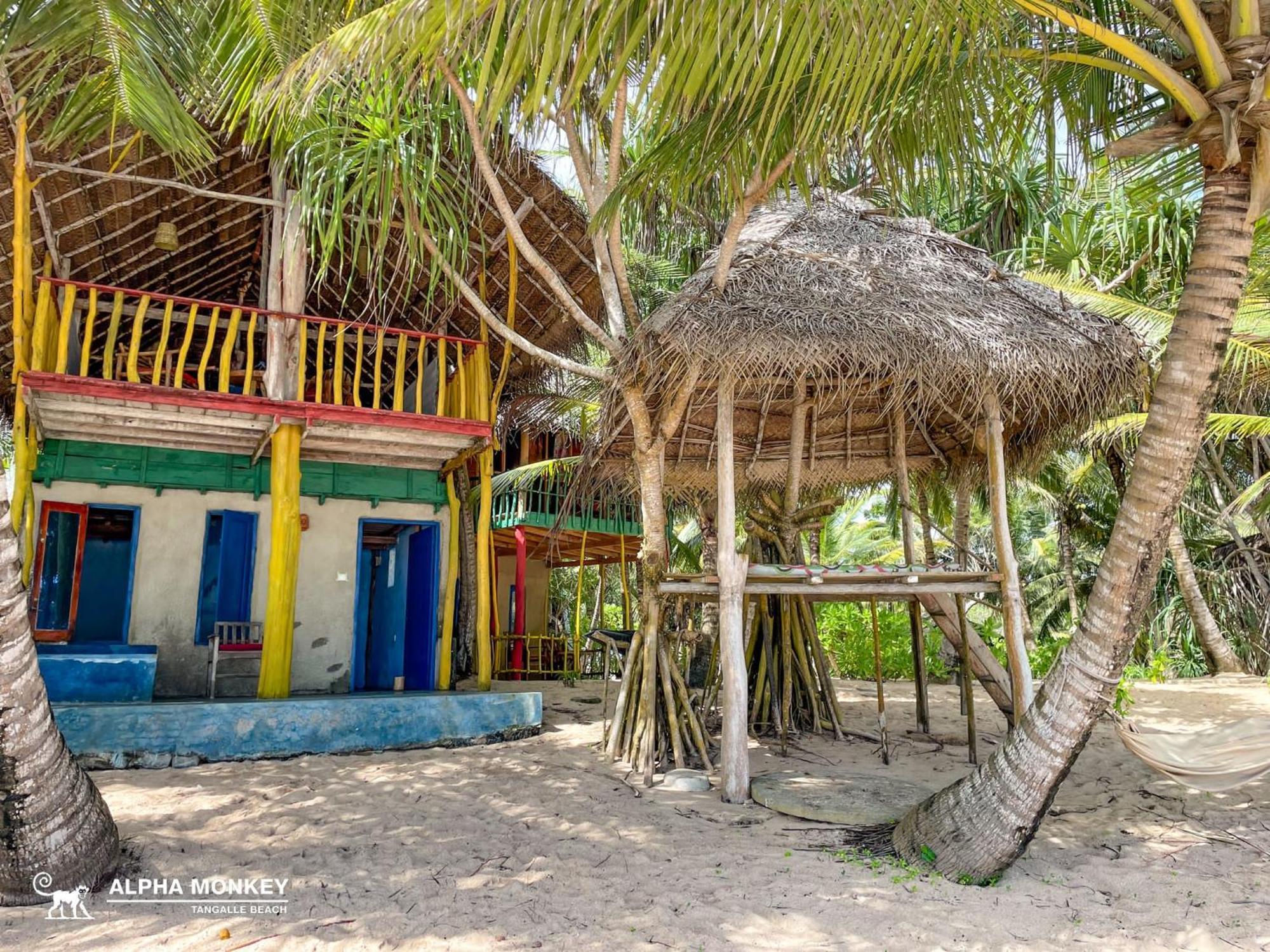 The Alpha Monkey Hotel & Tree House Tangalle Δωμάτιο φωτογραφία