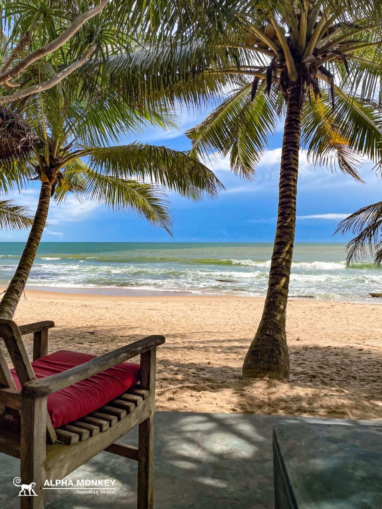 The Alpha Monkey Hotel & Tree House Tangalle Δωμάτιο φωτογραφία