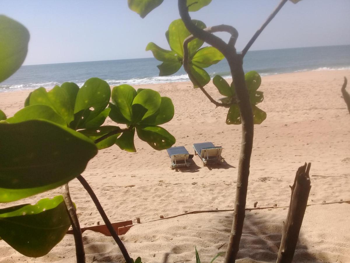 The Alpha Monkey Hotel & Tree House Tangalle Εξωτερικό φωτογραφία